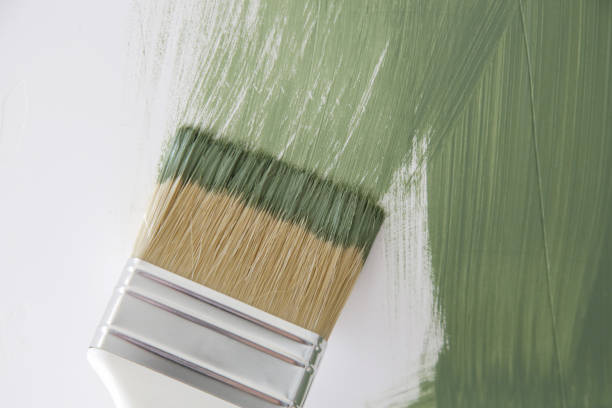 Best Mold Damage Restoration  in Highland Heights, KY