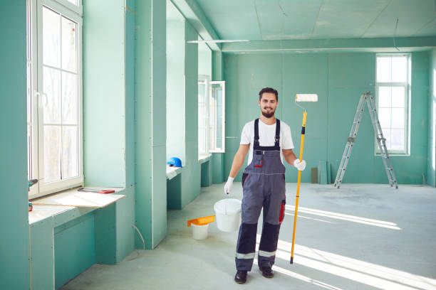 Best Basement Mold Removal  in Highland Heights, KY