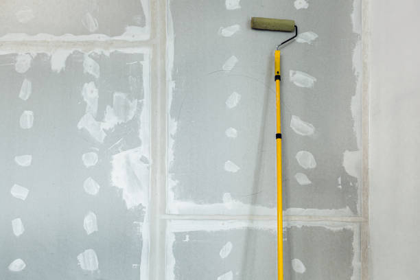 Best Post-Construction Mold Inspection  in Highland Heights, KY