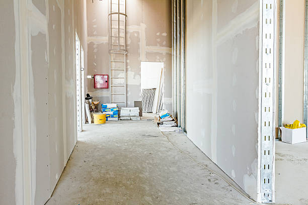 Best Mold Removal for HVAC Installations  in Highland Heights, KY